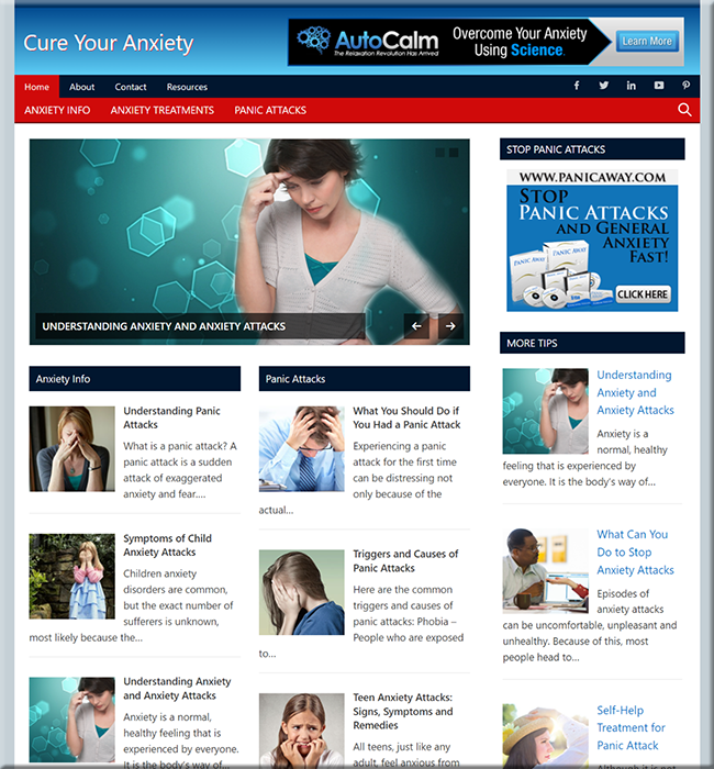 cure your anxiety niche blog