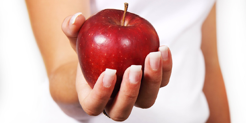 diet ydeh niche blog