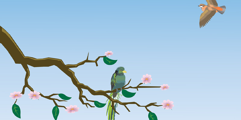 Twitter Dbis Template twitter dbis template