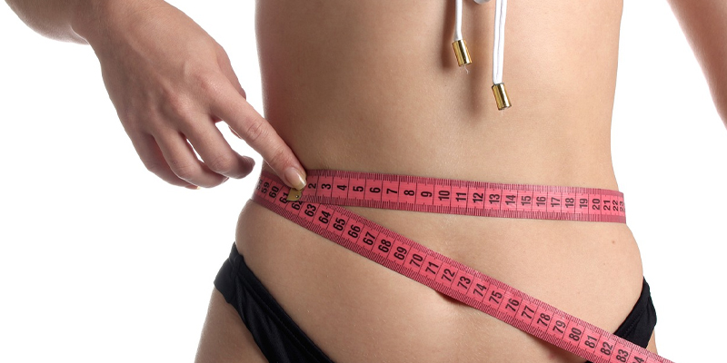 weightloss tmeh niche blog