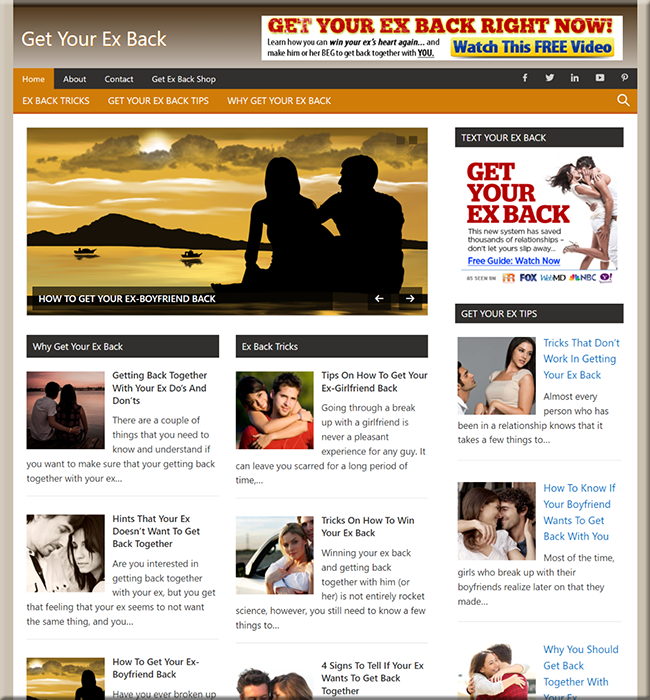 get your ex back niche plr website