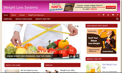 Weight Loss Systems PLR Website