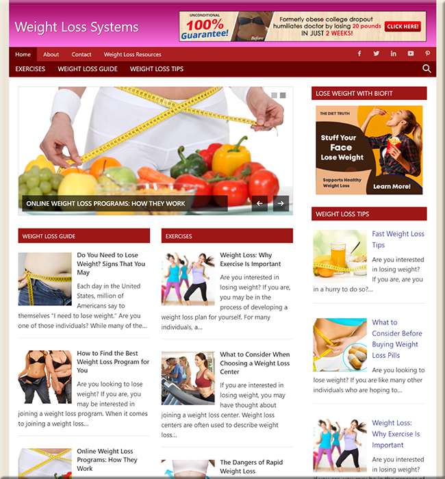 weight loss systems plr website