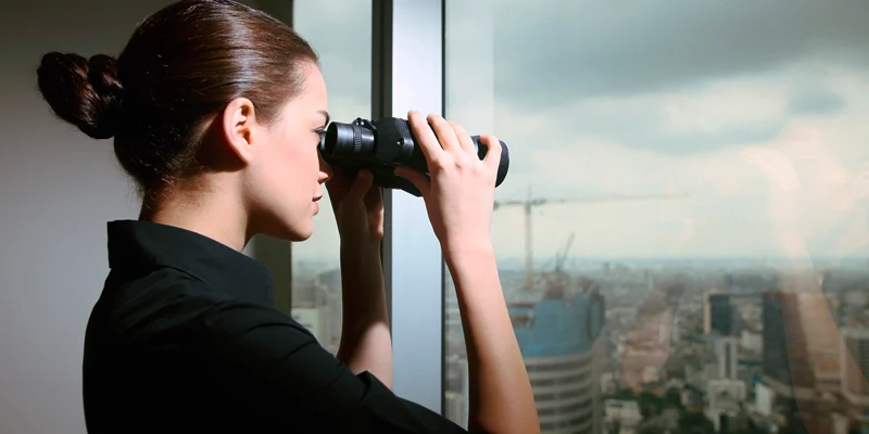 catch cheat dimz niche blog