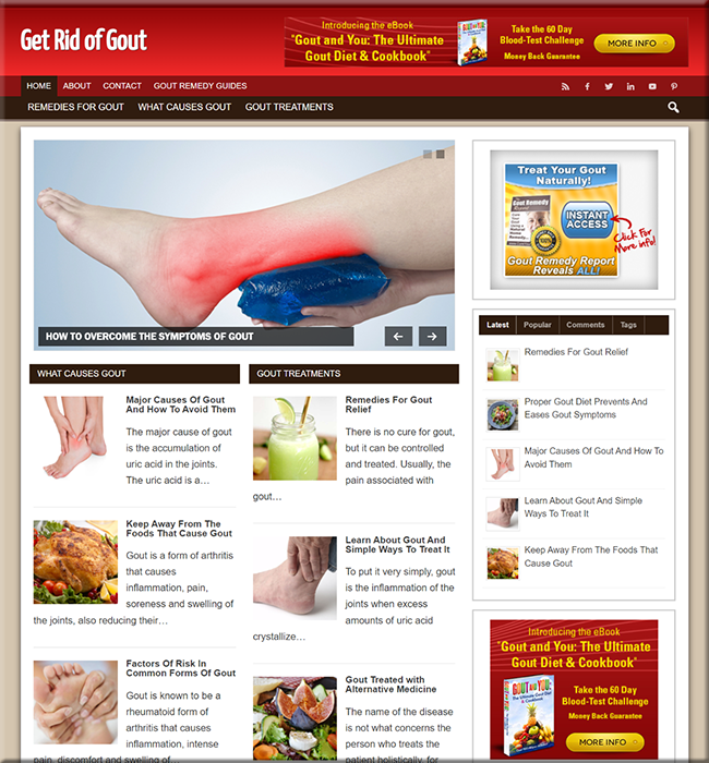 Gout Remedy PLR Niche Website gout remedy plr niche website