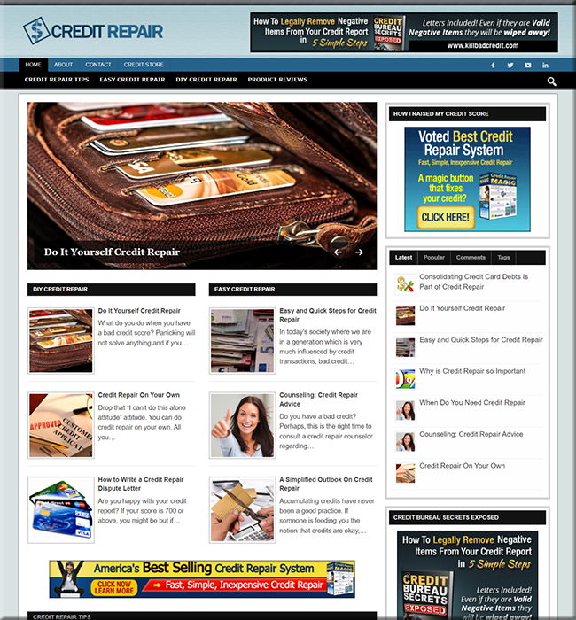 credit repair niche website