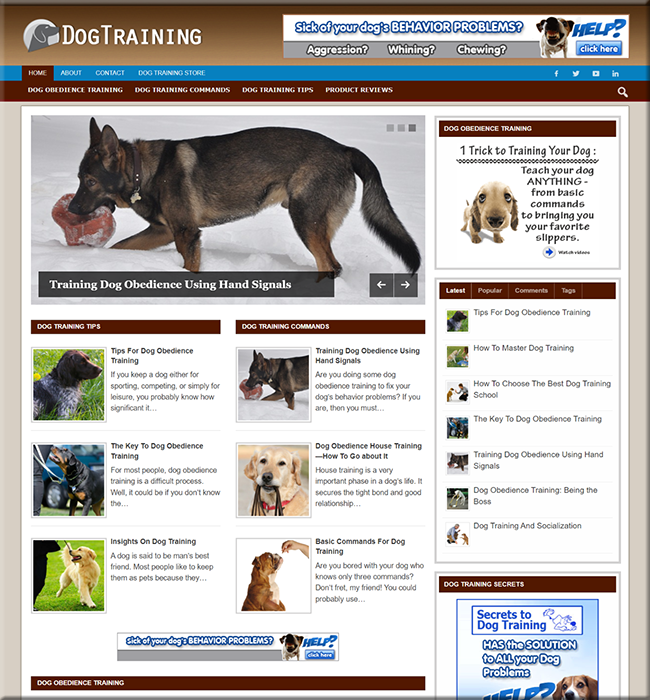 dog training plr niche website