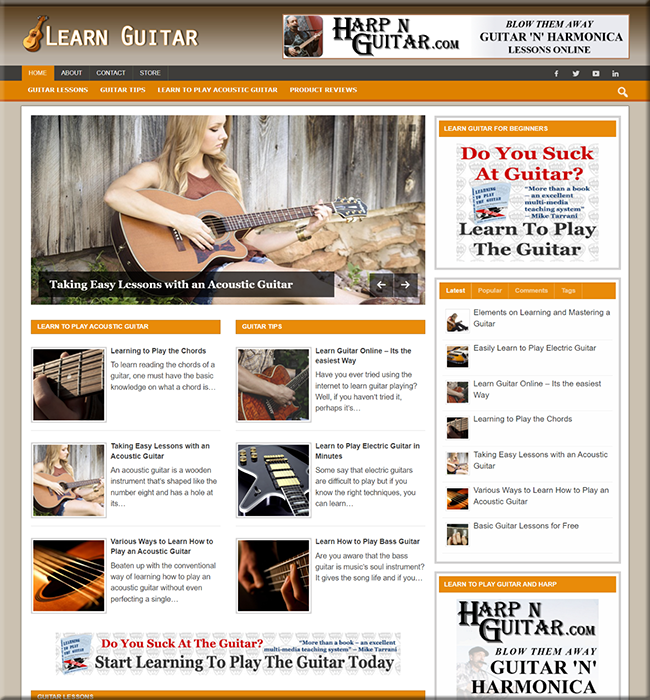learn guitar niche website