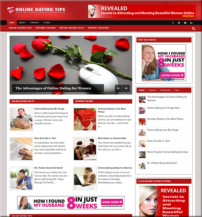 Online Dating PLR Niche Blog online dating plr niche blog