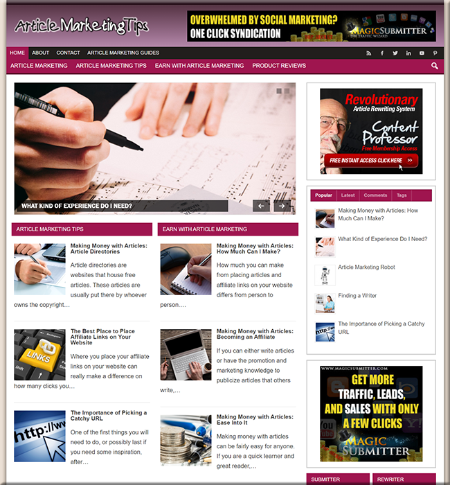 article marketing plr blog