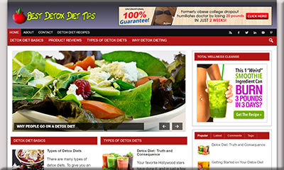 Best Detox Diet PLR Niche Blog