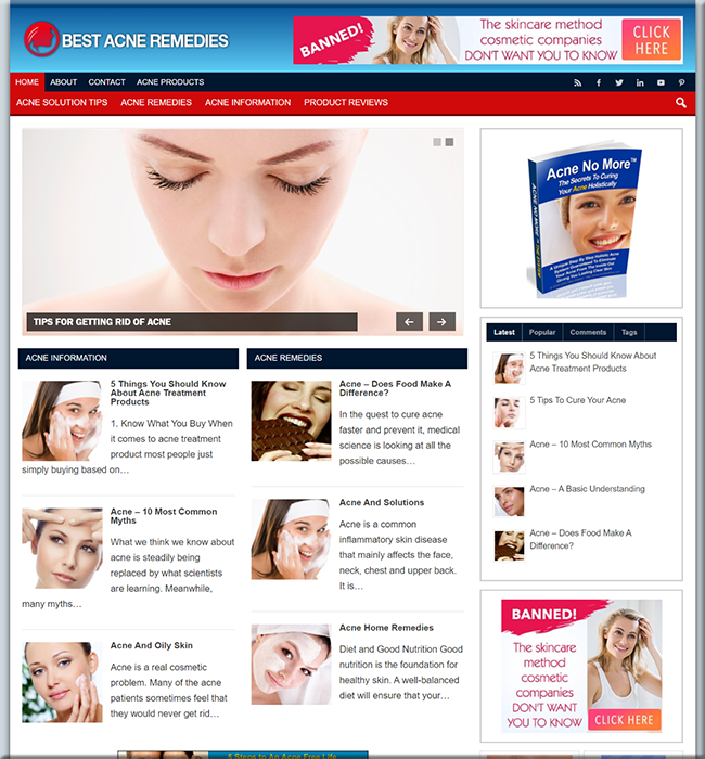 best acne remedies plr website