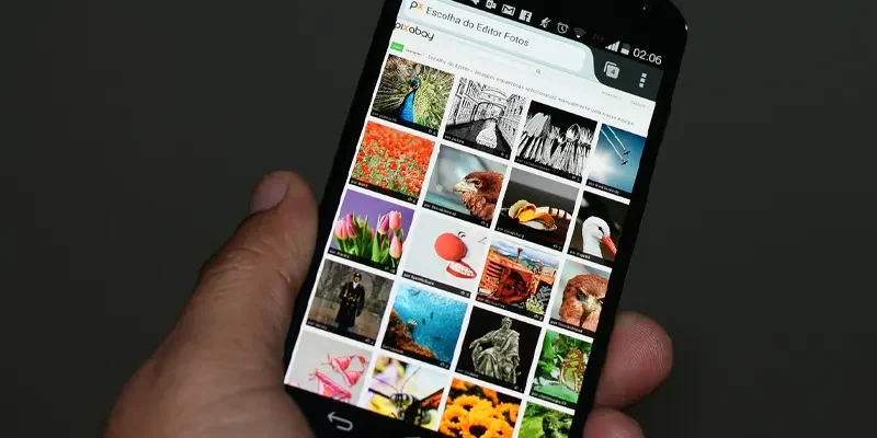 phonesearch uydbage niche blog