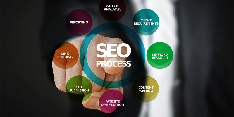 se evjkage niche blog