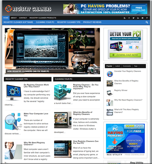 registry cleaners plr site