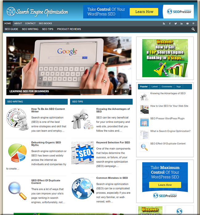 search engine optimization plr website