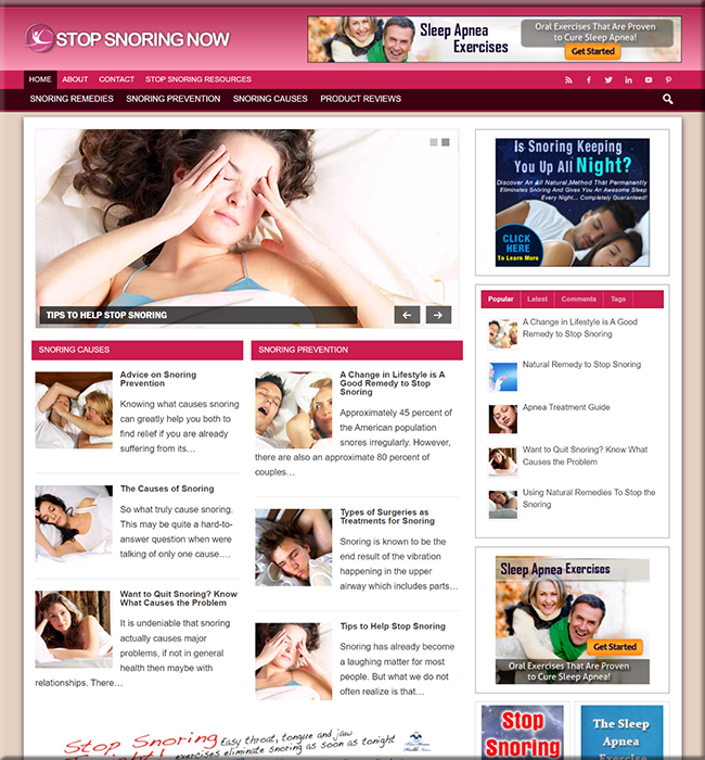 stop snoring plr niche website