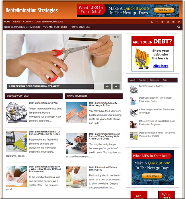 debt elimination plr niche website