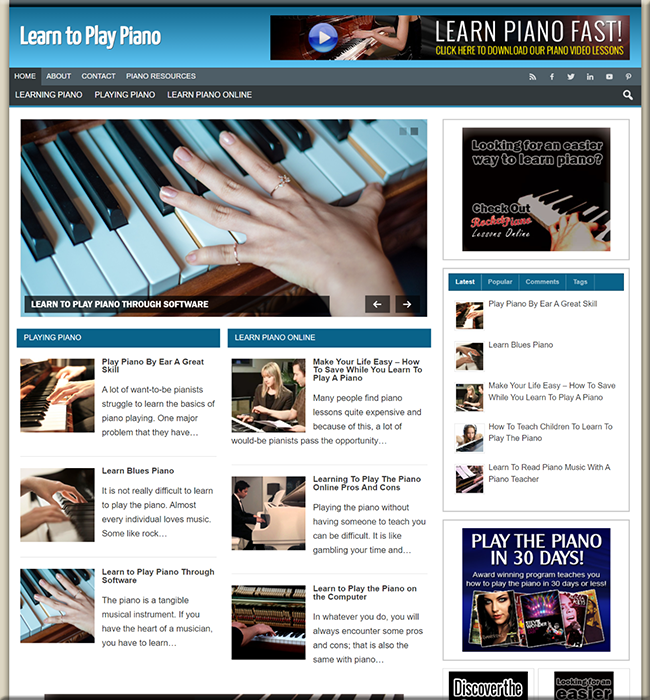 learn piano plr niche blog