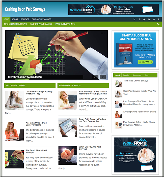 Paid Surveys PLR Niche Website paid surveys plr niche website