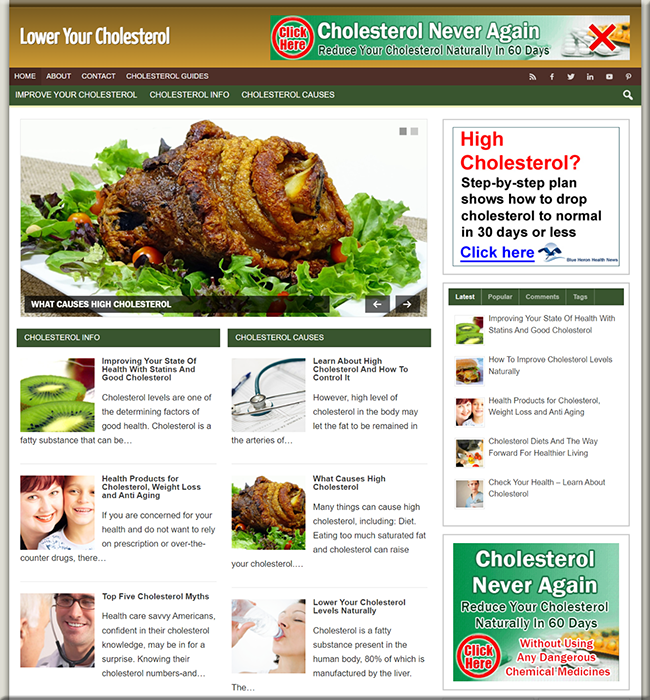 cholesterol niche plr website