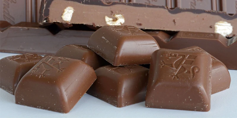 chocolate tpkz template