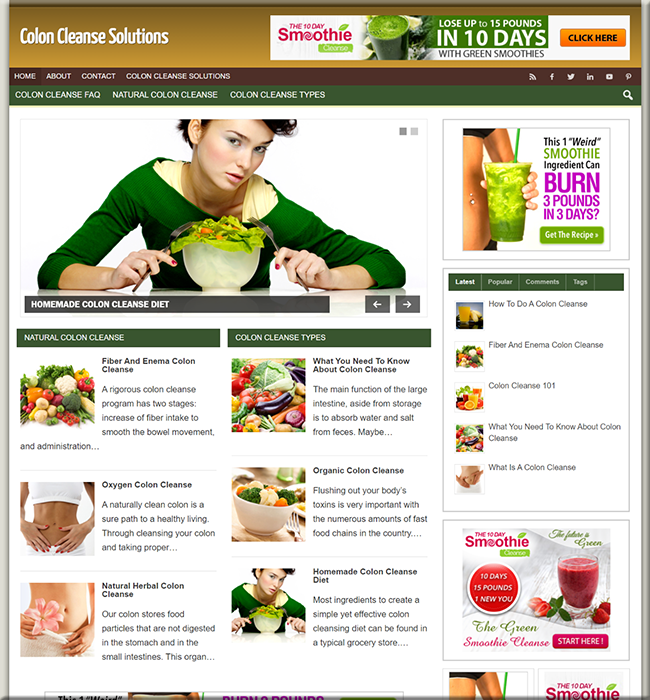 colon cleanse niche plr website