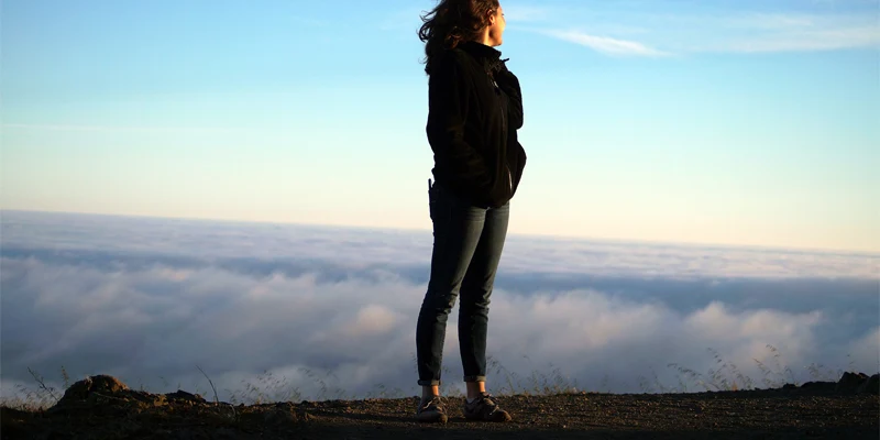 self success zfam niche blog