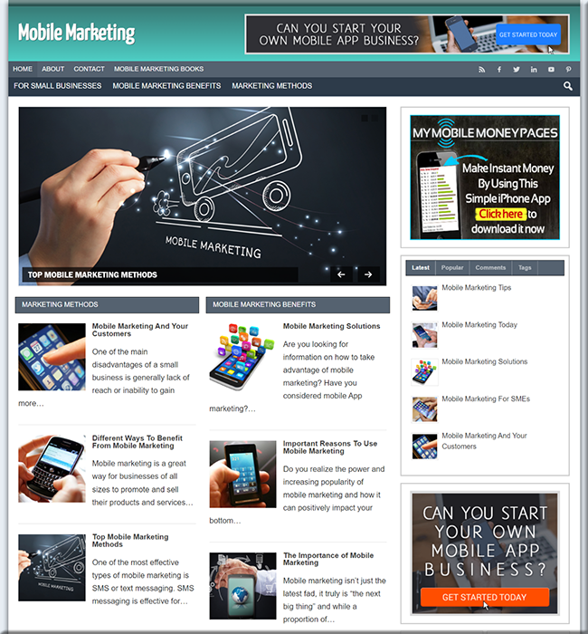 mobile marketing niche plr website