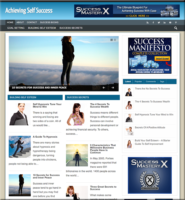 self success niche plr website