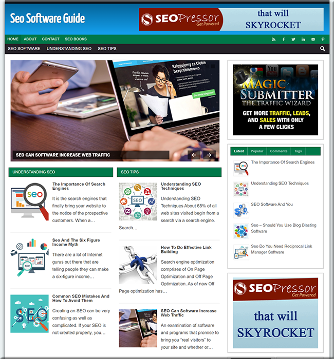 seo software niche website