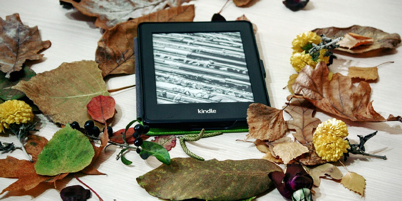 Kindle Publish Pacd Niche Blog kindle publish pacd niche blog