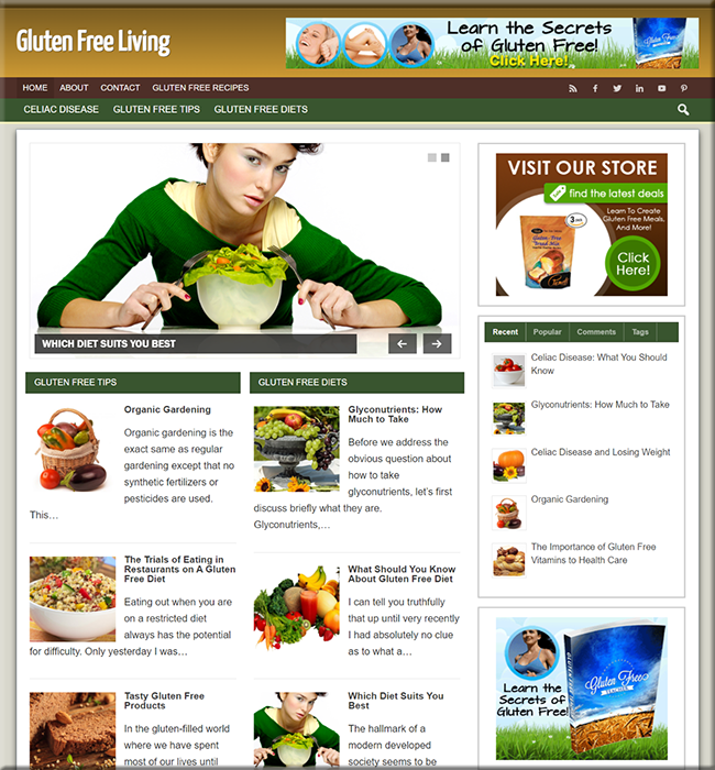 gluten free recipes niche blog