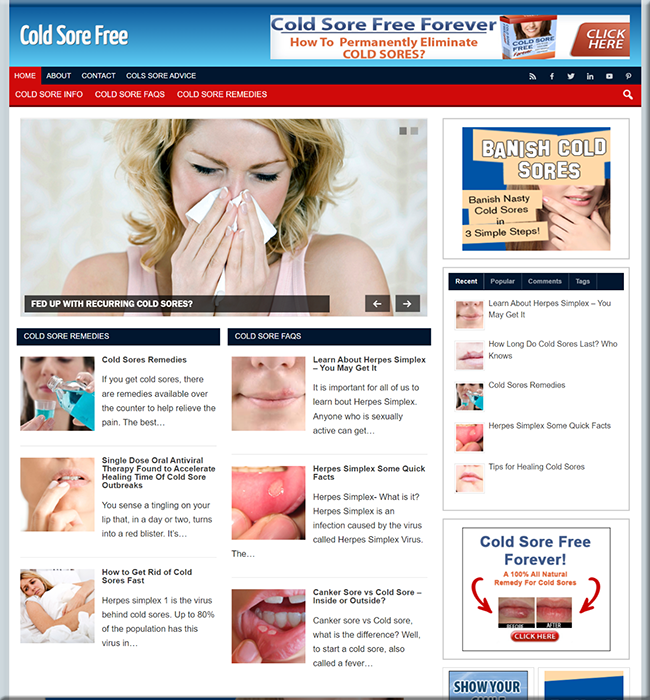 cold sores niche plr website