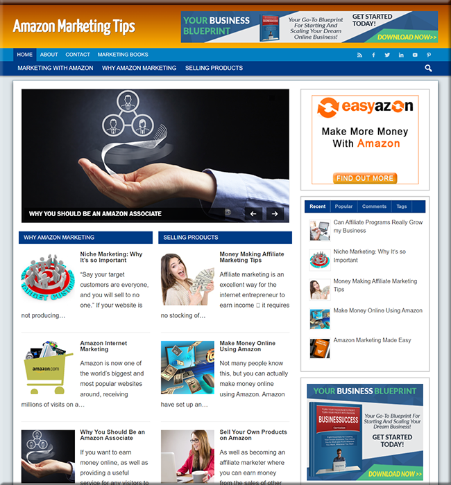 amazon marketing plr niche blog