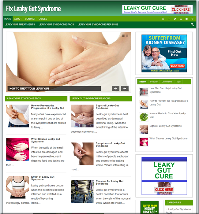 leaky gut syndrome plr website