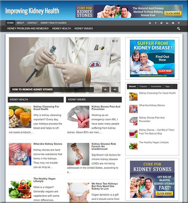 kidney health plr niche website