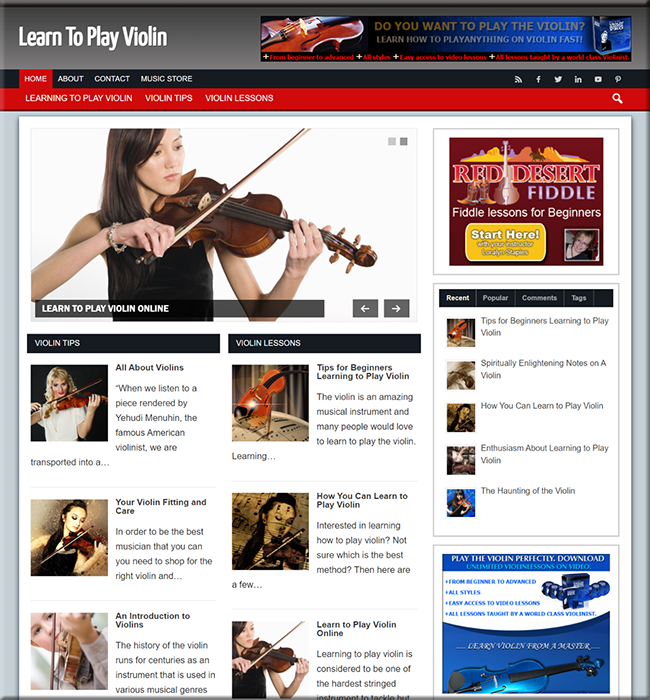 learn violin niche website