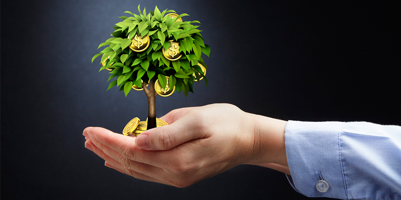 cpa market mtlp niche blog