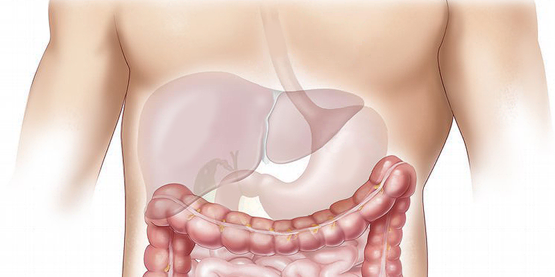 liver health zfmi niche blog