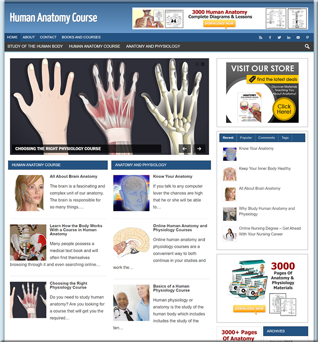 human anatomy plr niche blog