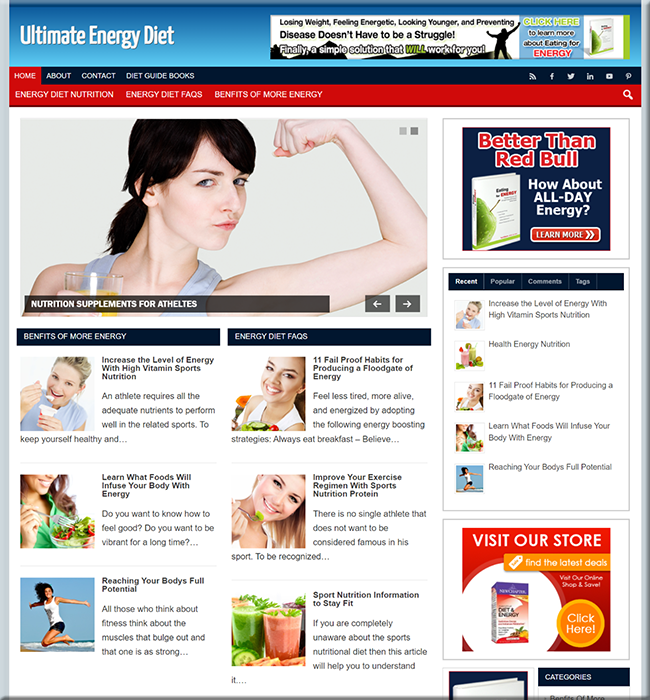 energy diet plr niche blog