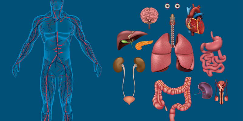 healthy prostate jcha niche blog