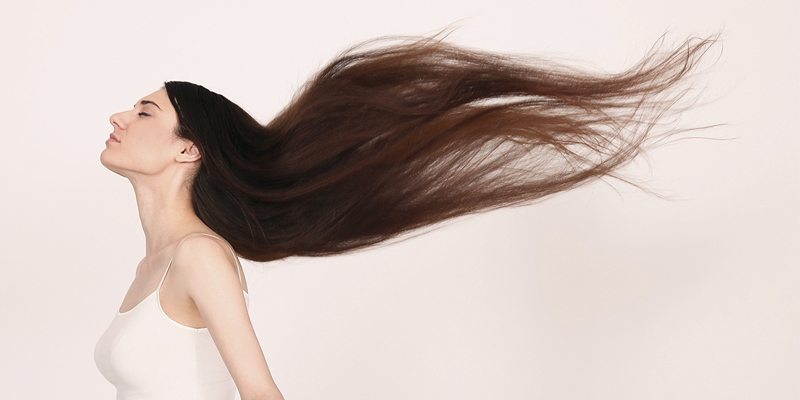 gray hair weob template