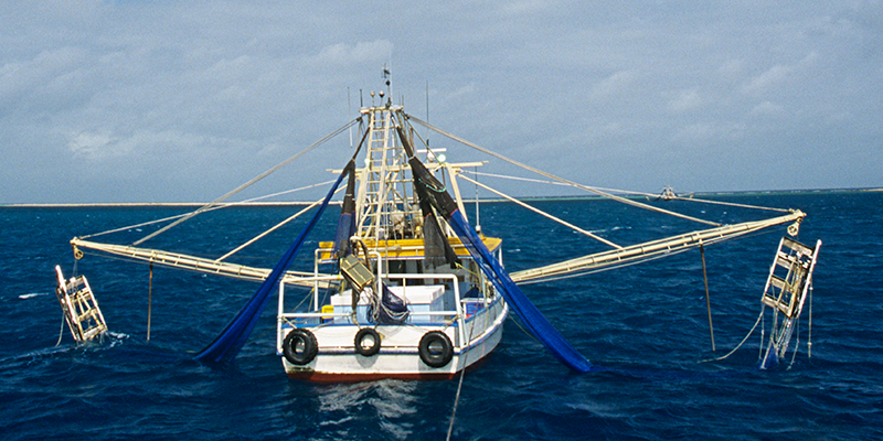 Boat Plans Yadt Niche Blog boat plans yadt niche blog