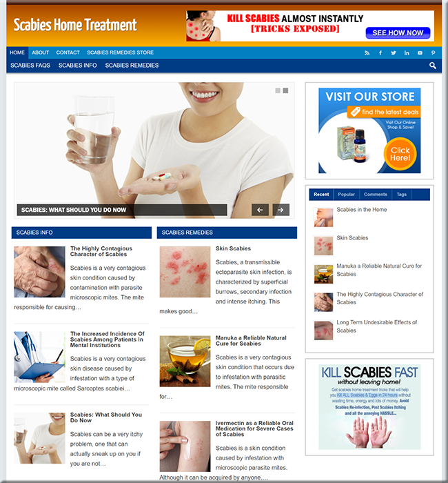 scabies treatment niche blog