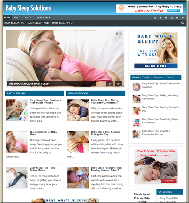 baby sleep niche plr website