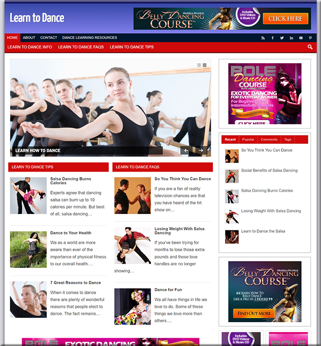 learn dance plr niche blog
