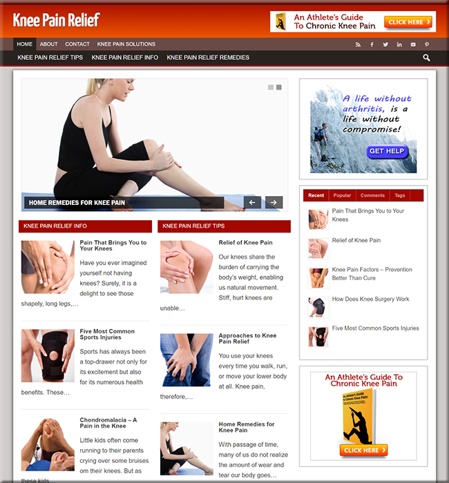 Knee Pain Relief PLR Niche Blog knee pain relief plr niche blog