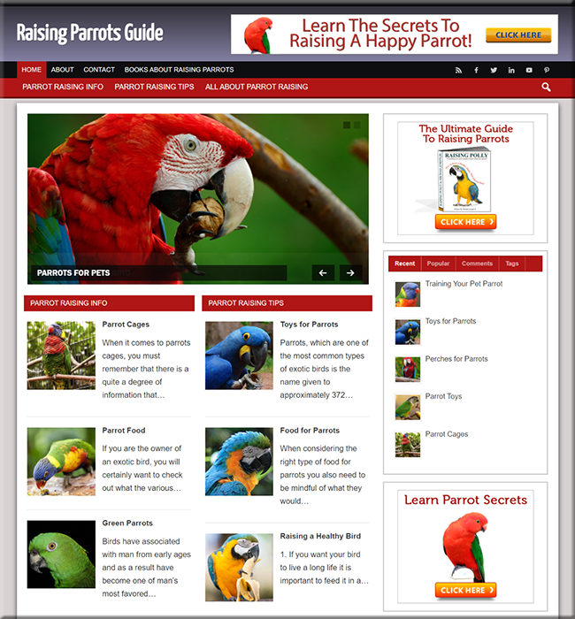 raising parrots niche website